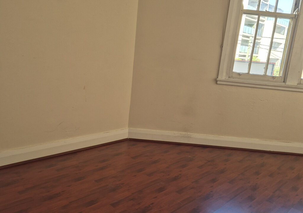 331 Forest Road BEXLEY NSW