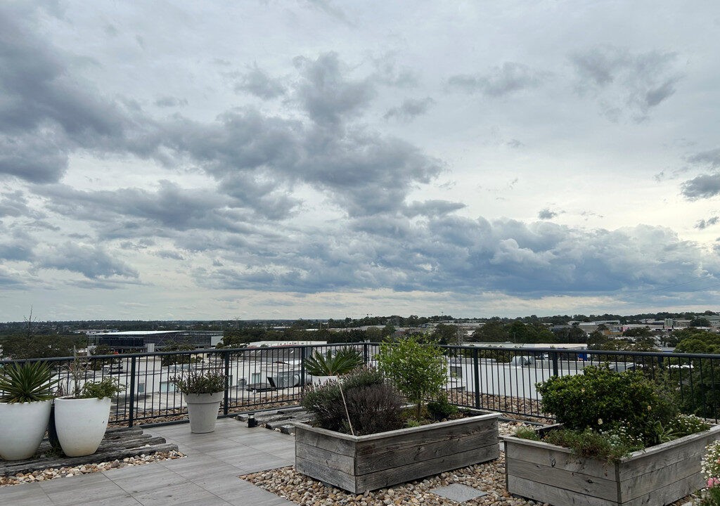 1024px.167827805__1760402978-41824-level6