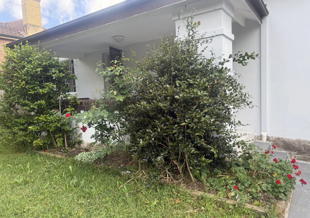 16 Short St, CARLTON NSW