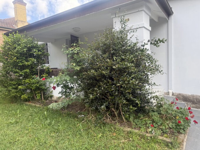 16 Short St, CARLTON NSW