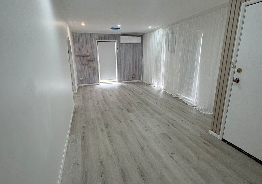 1 Welch Place MINTO NSW